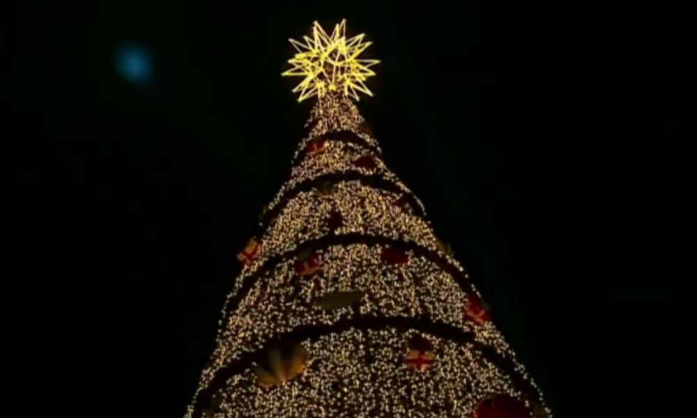 Árvore de Natal do Parque Villa-Lobos é inaugurada e deve gerar R$ 50 milhões para SP