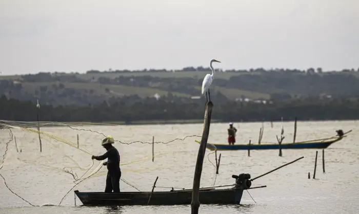 Estado da Bahia