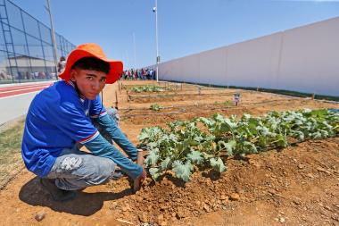 Governo da Bahia reabre seleção do projeto Viva Horta para ampliar cobertura em três territórios | SECOM