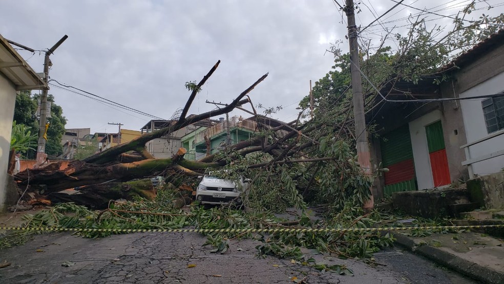 Chuva forte em Belo Horizonte provoca alagamentos, quedas de árvores e falta de energia – Imprensa Bahia