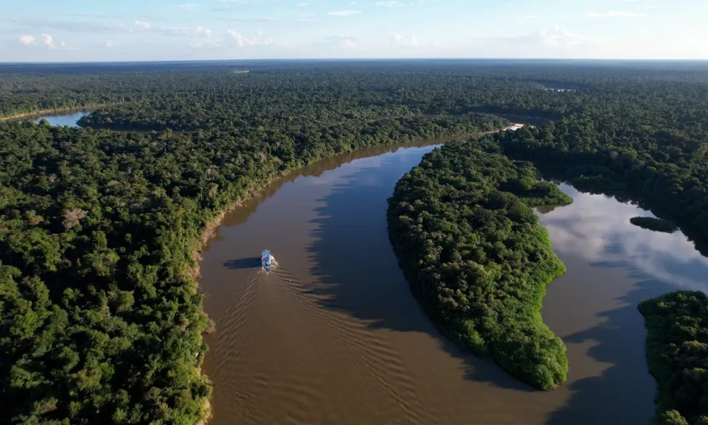 Desmatamento na Amazônia recua 17,4% em 2025 e atinge menor nível da série do Inpe