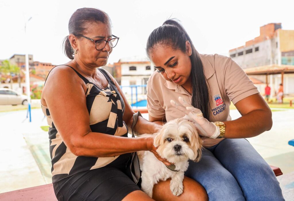 SESAU realiza ação de controle de endemias e zoonoses nesta sexta-feira (12) – Imprensa Bahia