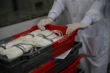 Hemoba alerta para estoques críticos neste início de ano e convoca doadores | SECOM
