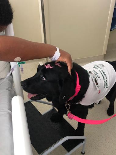 Hospital Ortopédico do Estado da Bahia promove ação de reflexão sobre saúde mental com pacientes | SECOM