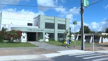 Museus em Feira de Santana, Cultura Surda e Amadeus estarão no Bem Bahia da TVE | SECOM