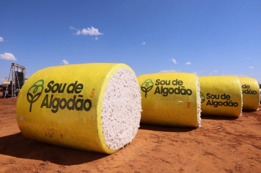 Agronegócio respondeu por 22,1% da economia baiana em 2025 | SECOM