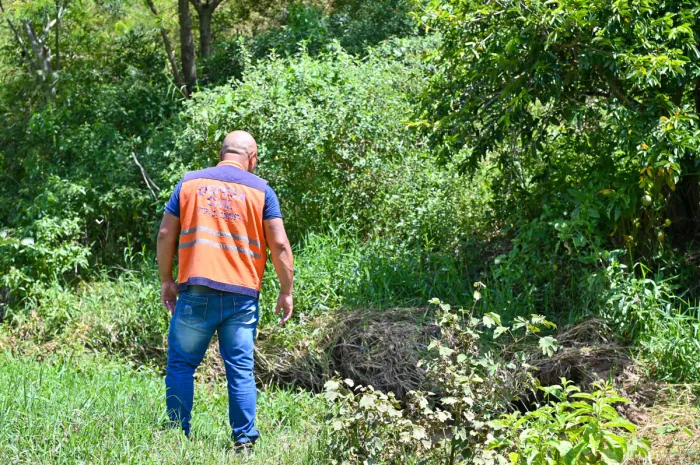 Portal Estado da Bahia