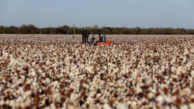 Boletim Agropecuário indica que setor impulsionou desempenho do PIB baiano no quarto trimestre de 2025 | SECOM