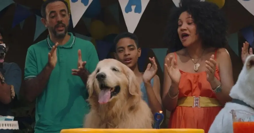 Portal Estado da Bahia