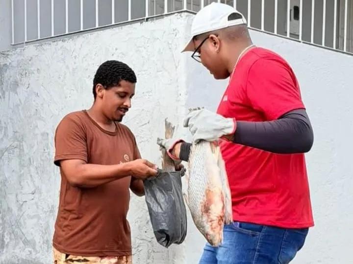 Portal Estado da Bahia