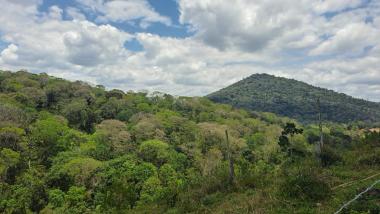 Sema e Inema fortalecem ações de proteção à fauna com novos editais do TCSA Porto Sul | SECOM