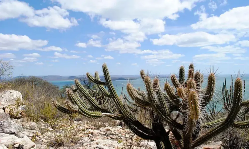 Portal Estado da Bahia