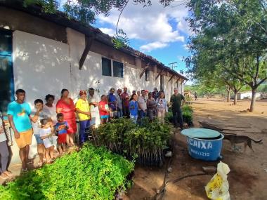 Estado realiza ação piloto de gestão de assentamentos e entrega 5.000 mudas frutíferas no Filhos da Terra, em Itaberaba | SECOM