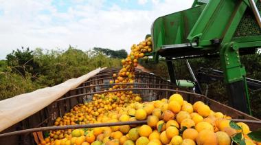 Bahia articula expansão da citricultura com foco em agroindústria e novos mercados | SECOM