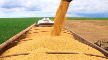 PIB do agronegócio baiano totalizou R$ 19,2 bi no 1º trimestre de 2026 | SECOM